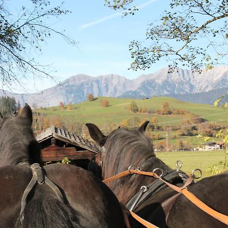 Oberdeutinghof Lägenhet Saalfelden Exteriör bild