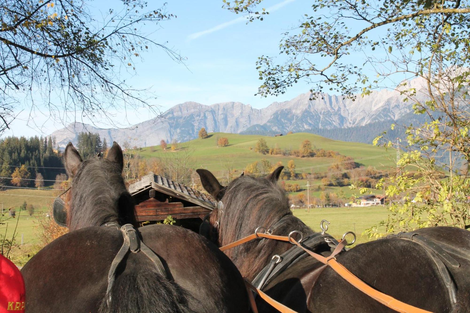 Oberdeutinghof Lägenhet Saalfelden Exteriör bild